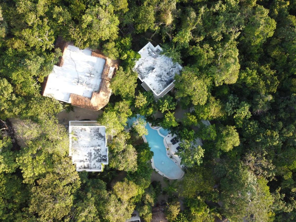 Cachito De Cielo Luxury Jungle Lodge Τουλούμ Εξωτερικό φωτογραφία